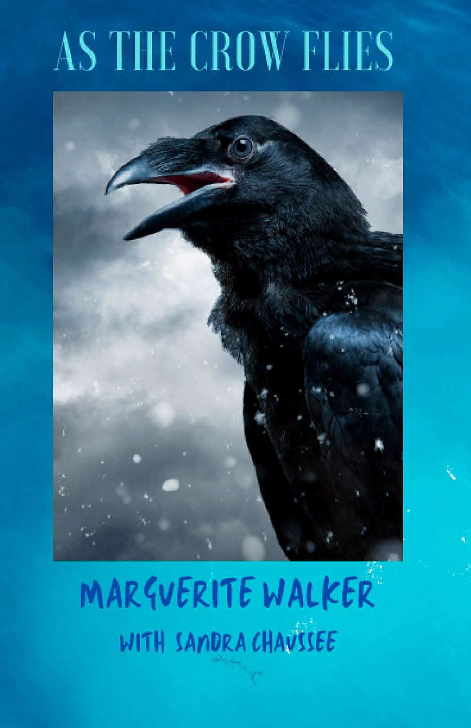 As the Crow Flies poster