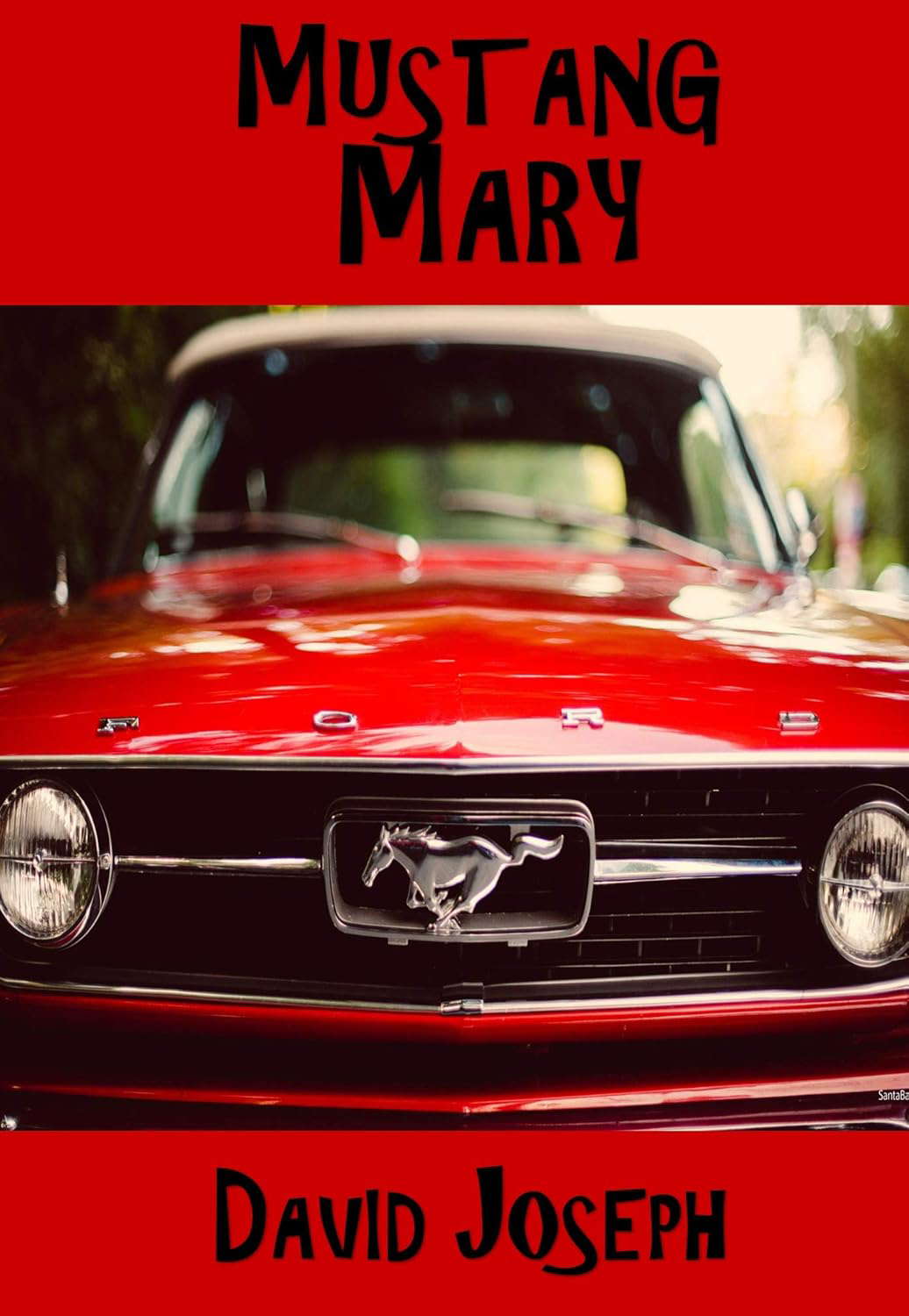 Mustang Mary poster