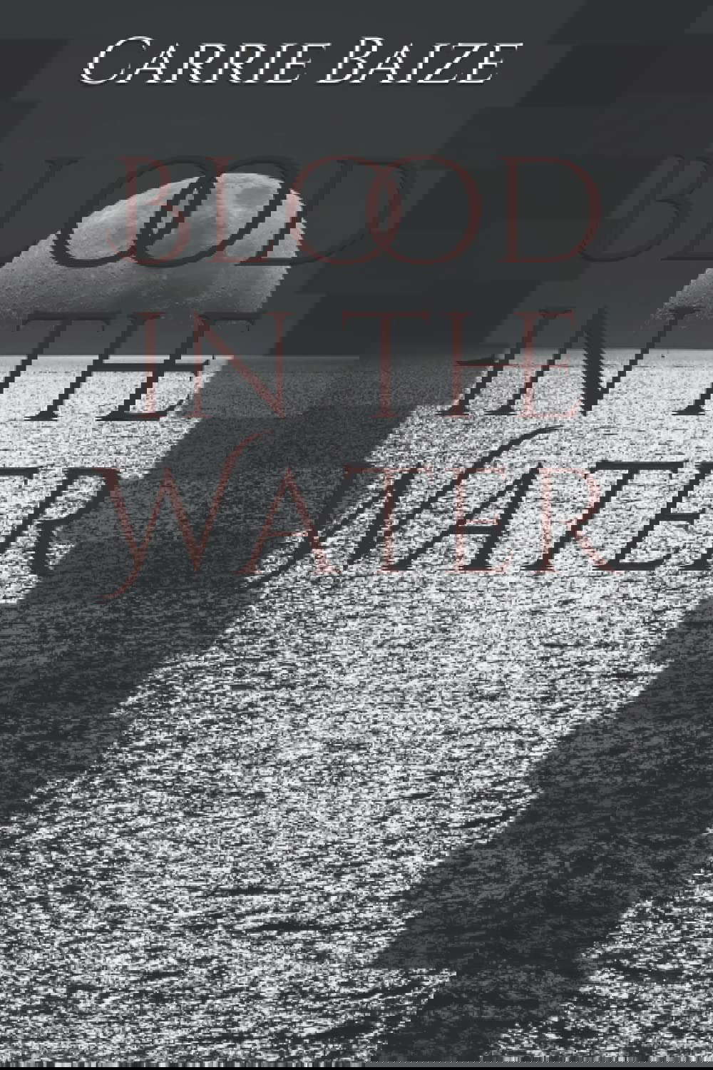 Blood in the Water poster