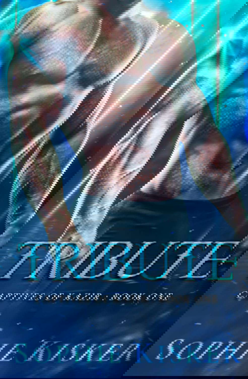 Tribute: Captives of Kazir poster