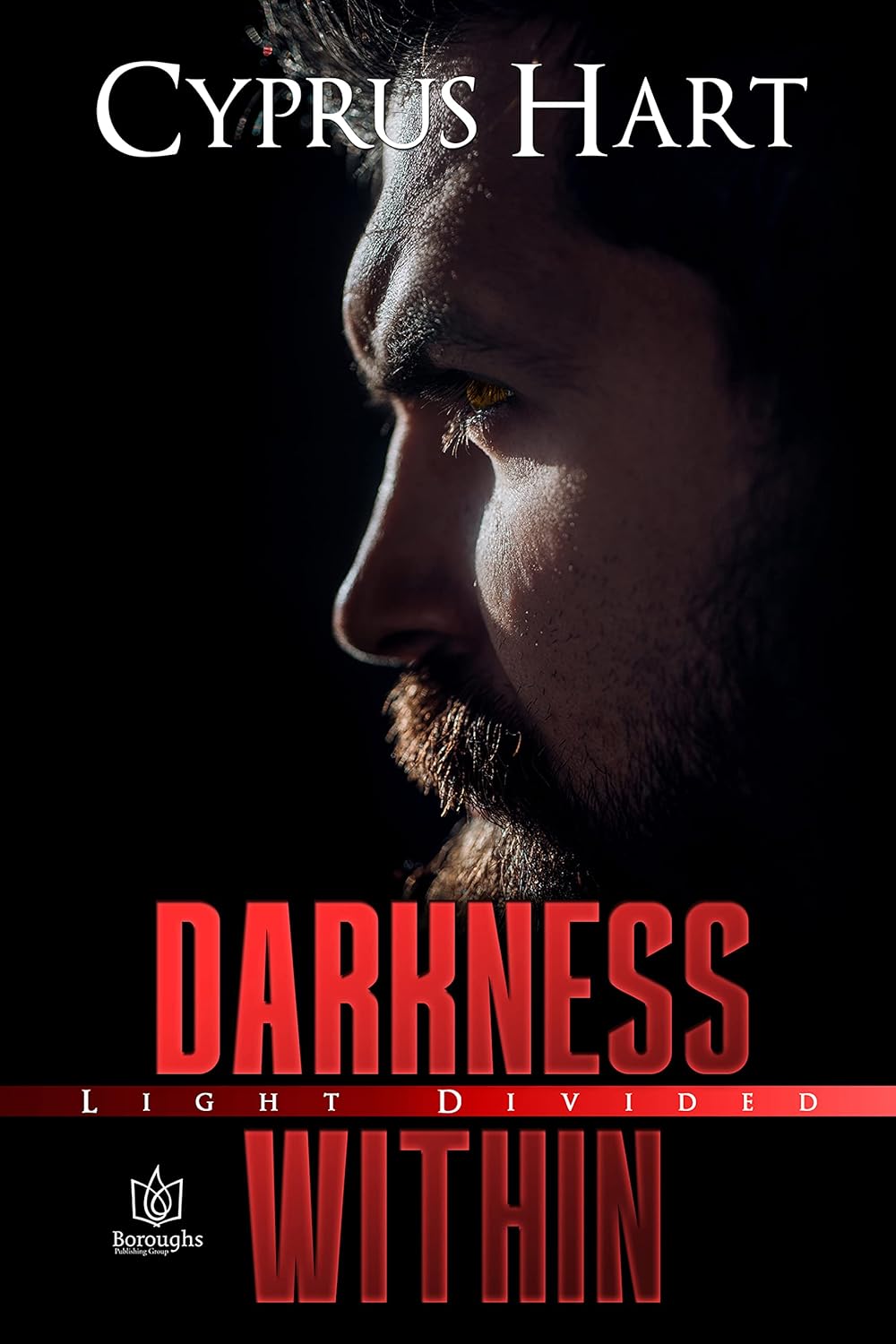 Darkness Within (Light Divided Book 1) poster