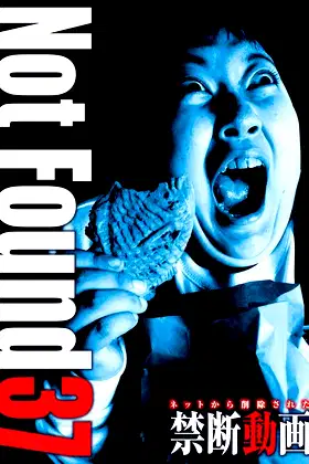 Not Found 37 poster