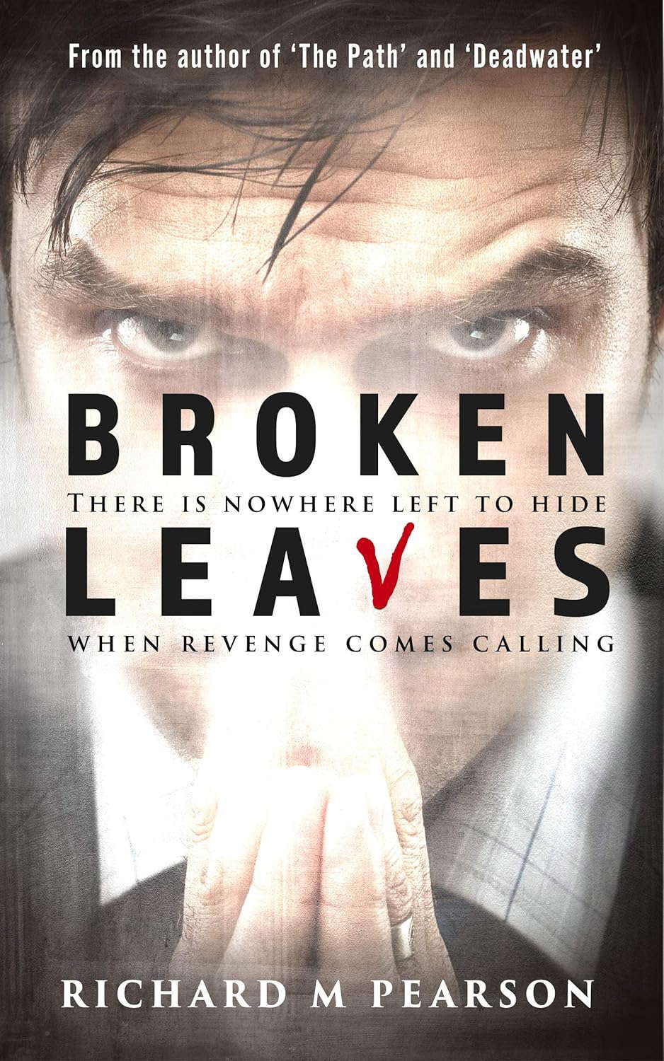 Broken Leaves: There is nowhere to hide when revenge comes calling poster