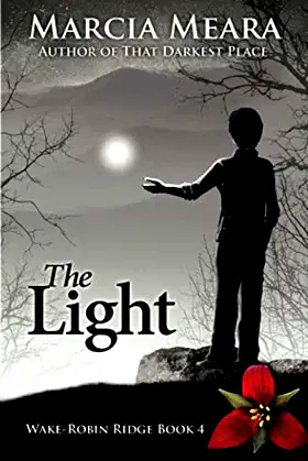 The Light: Wake-Robin Ridge Book 4 poster