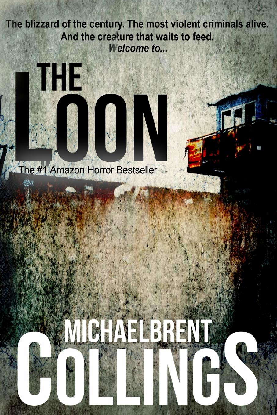 The Loon poster