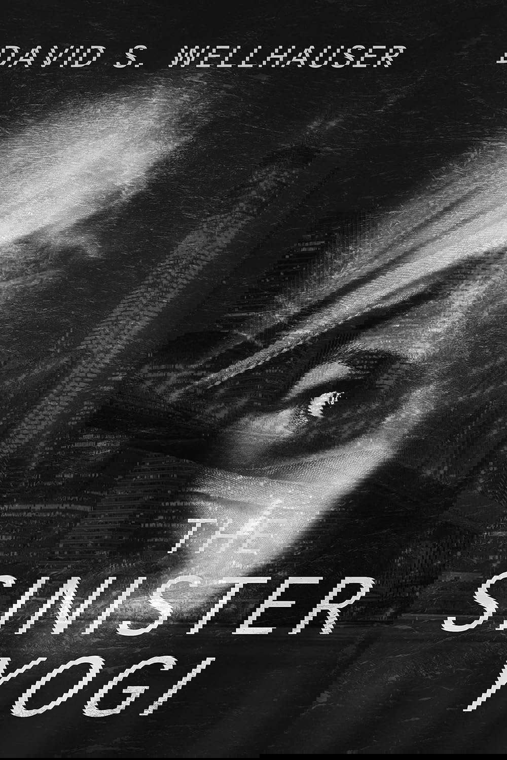 The Sinister Yogi (The Pataphysician Book 2) poster