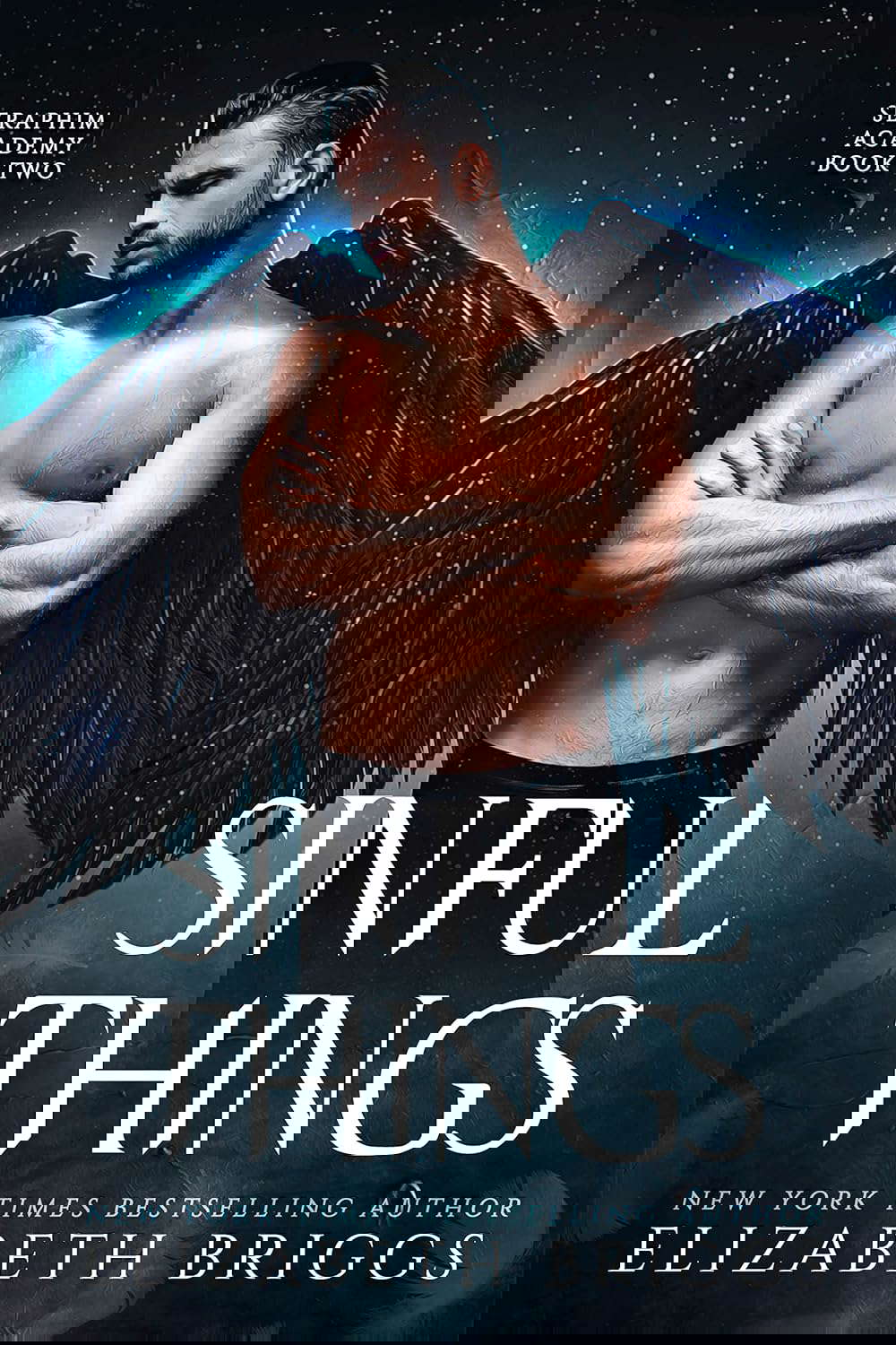 Sinful Things (Seraphim Academy Book 2) poster