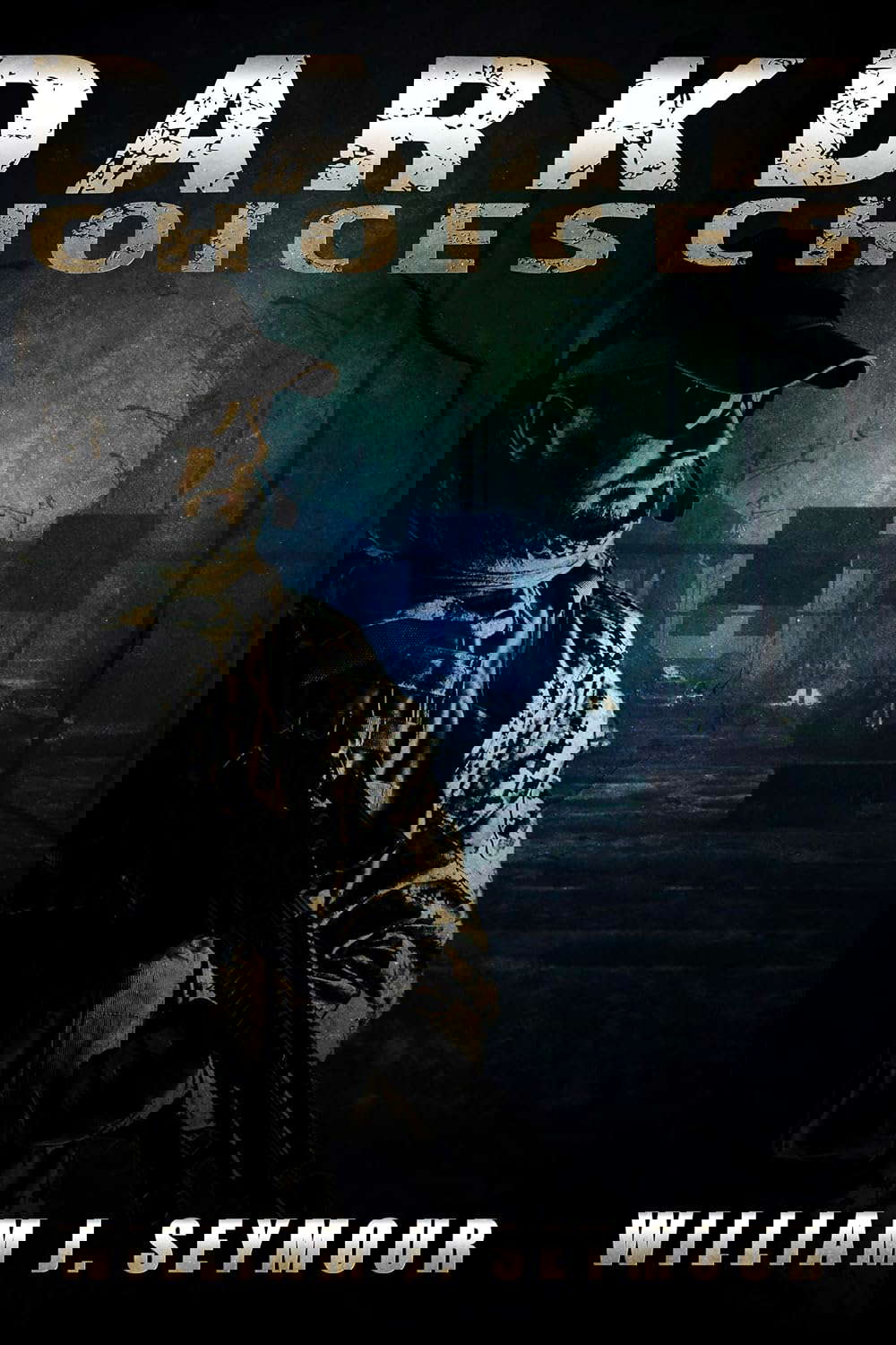 Dark Choices (Azhana Falls Book 1) poster