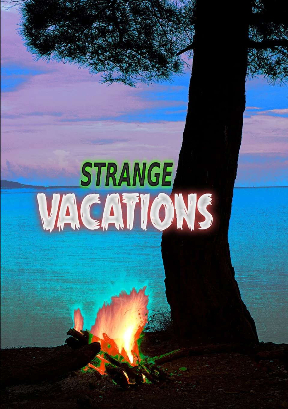 Strange Vacations poster