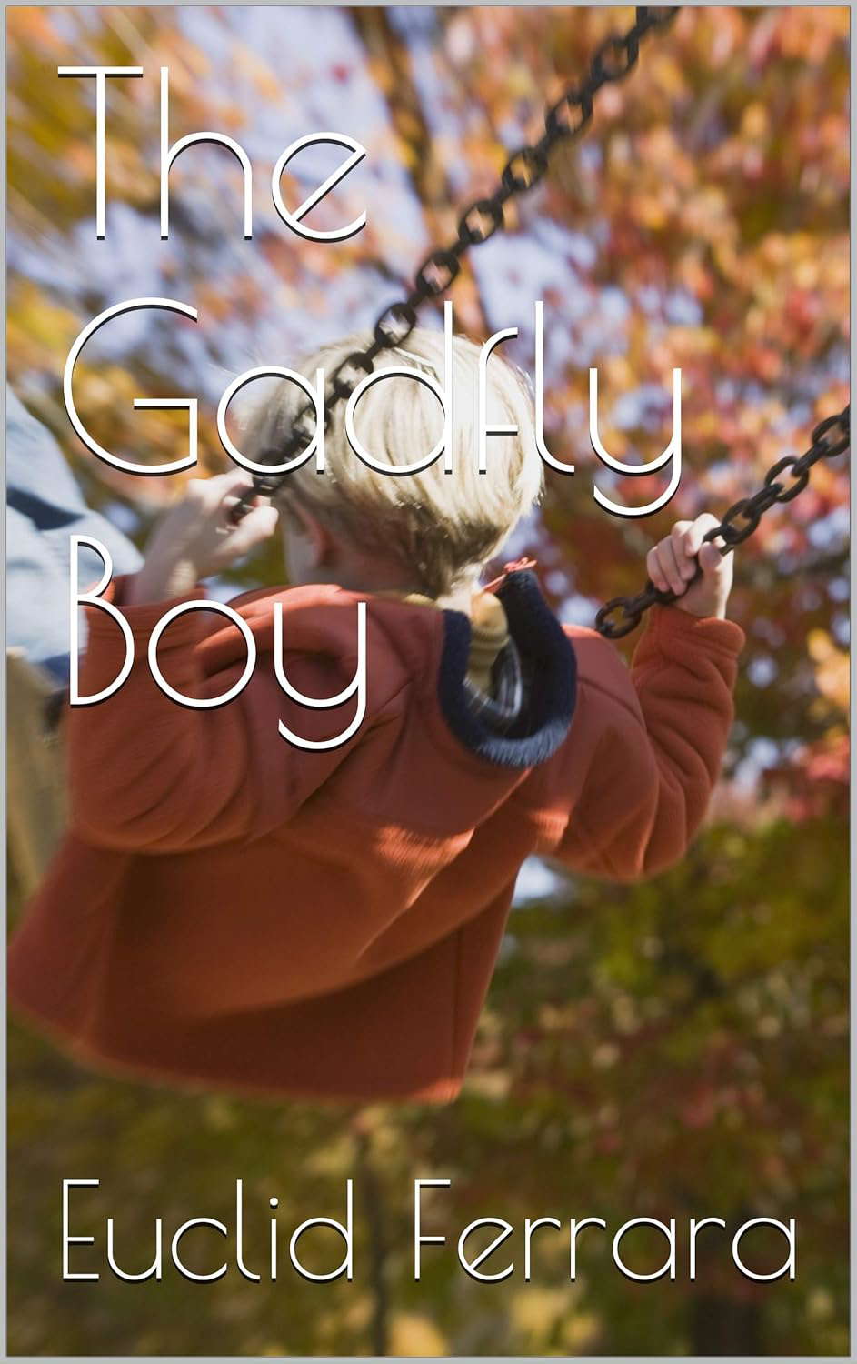 The Gadfly Boy poster