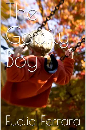 The Gadfly Boy poster
