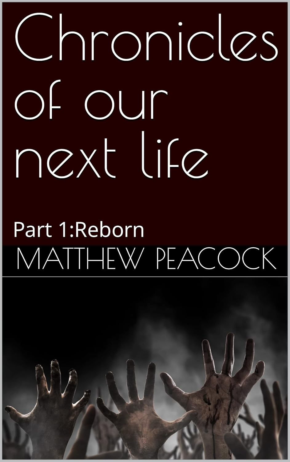 Chronicles of our next life: Part 1:Reborn poster