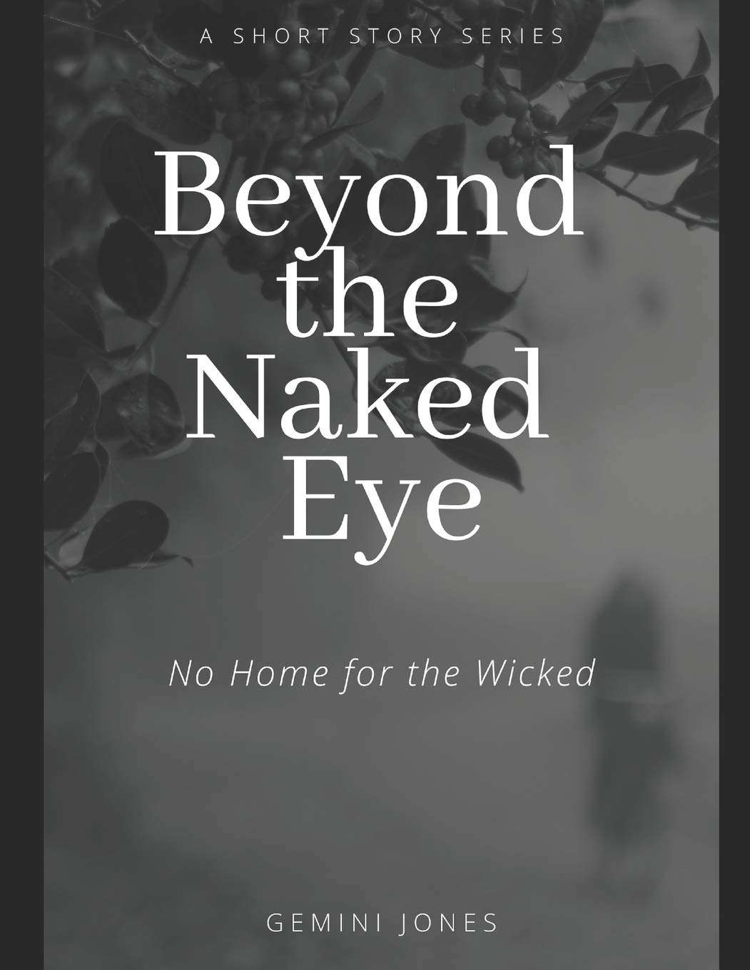 Beyond the Naked Eye: No Home for the Wicked poster