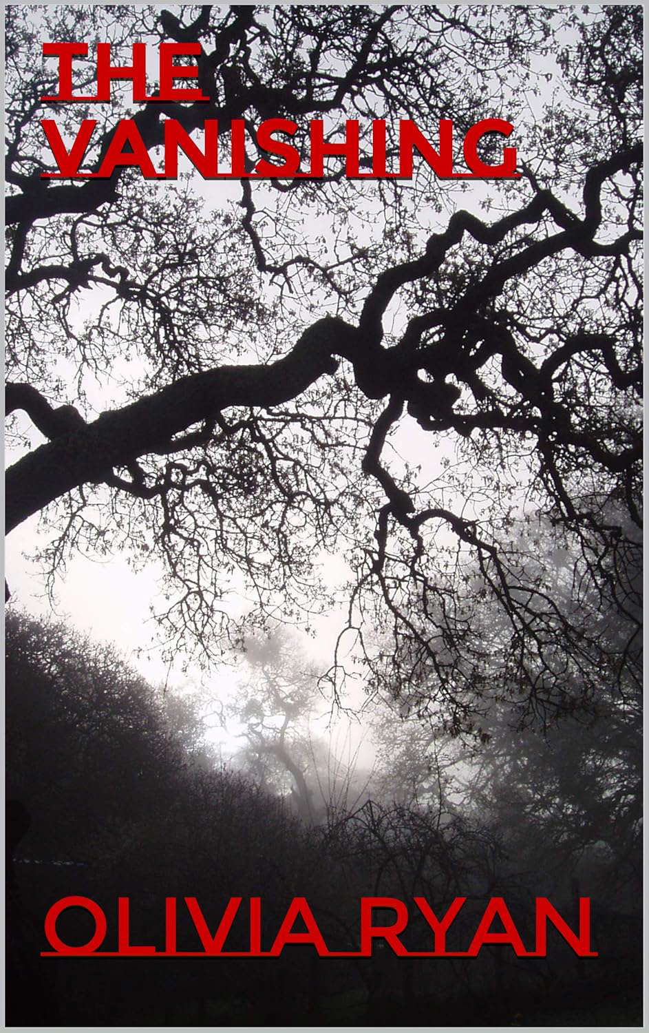 The Vanishing poster