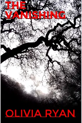 The Vanishing poster