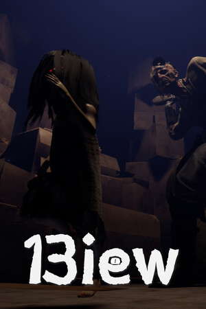 13iew poster