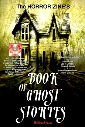 The Horror Zine's Book of Ghost Stories poster