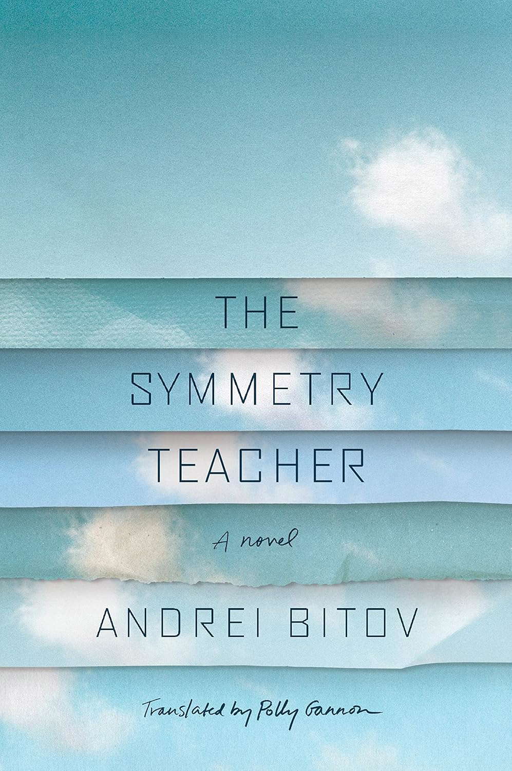 The Symmetry Teacher: A Novel poster