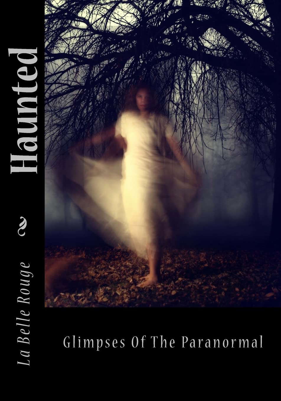 Haunted: Glimpses Of The Paranormal poster
