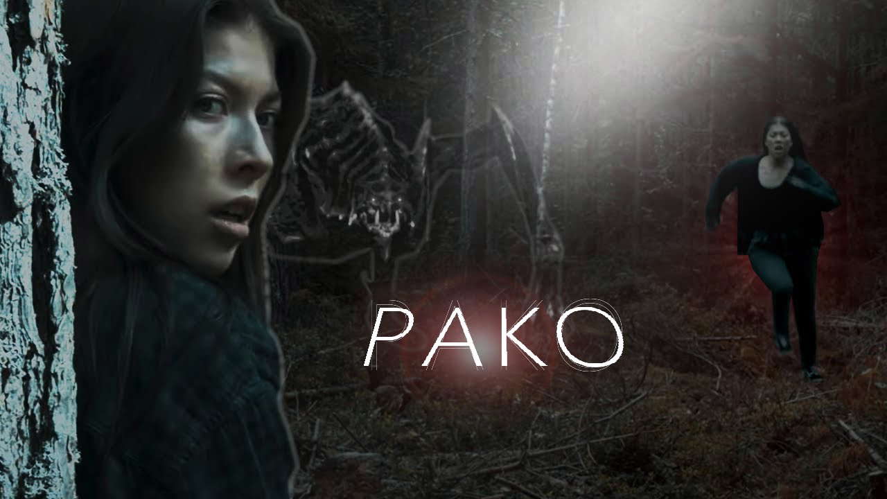 LYHYTELOKUVA; Pako (Short horror film: Pako.)