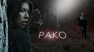 LYHYTELOKUVA; Pako (Short horror film: Pako.) poster