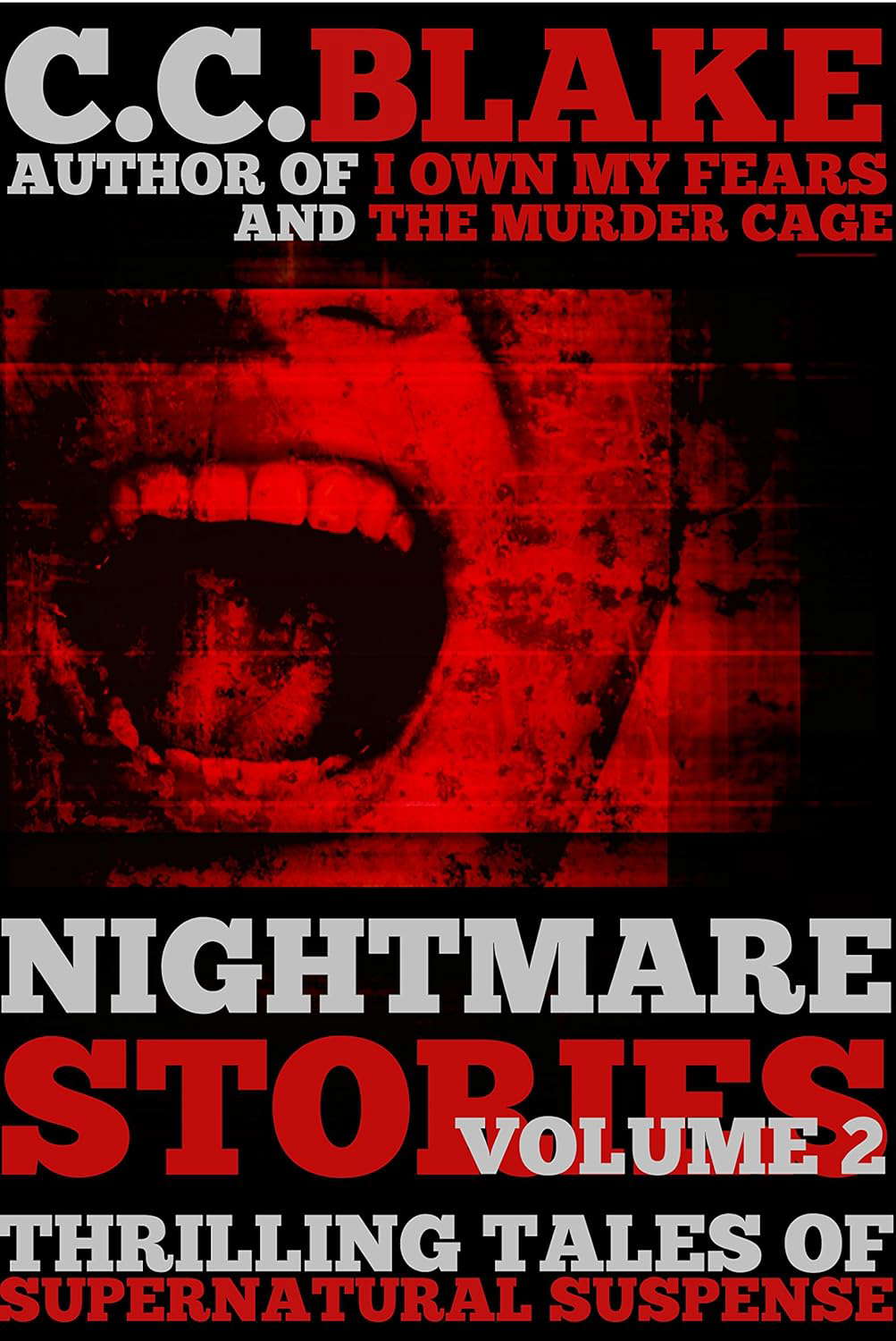 Nightmare Stories, Volume 2 poster