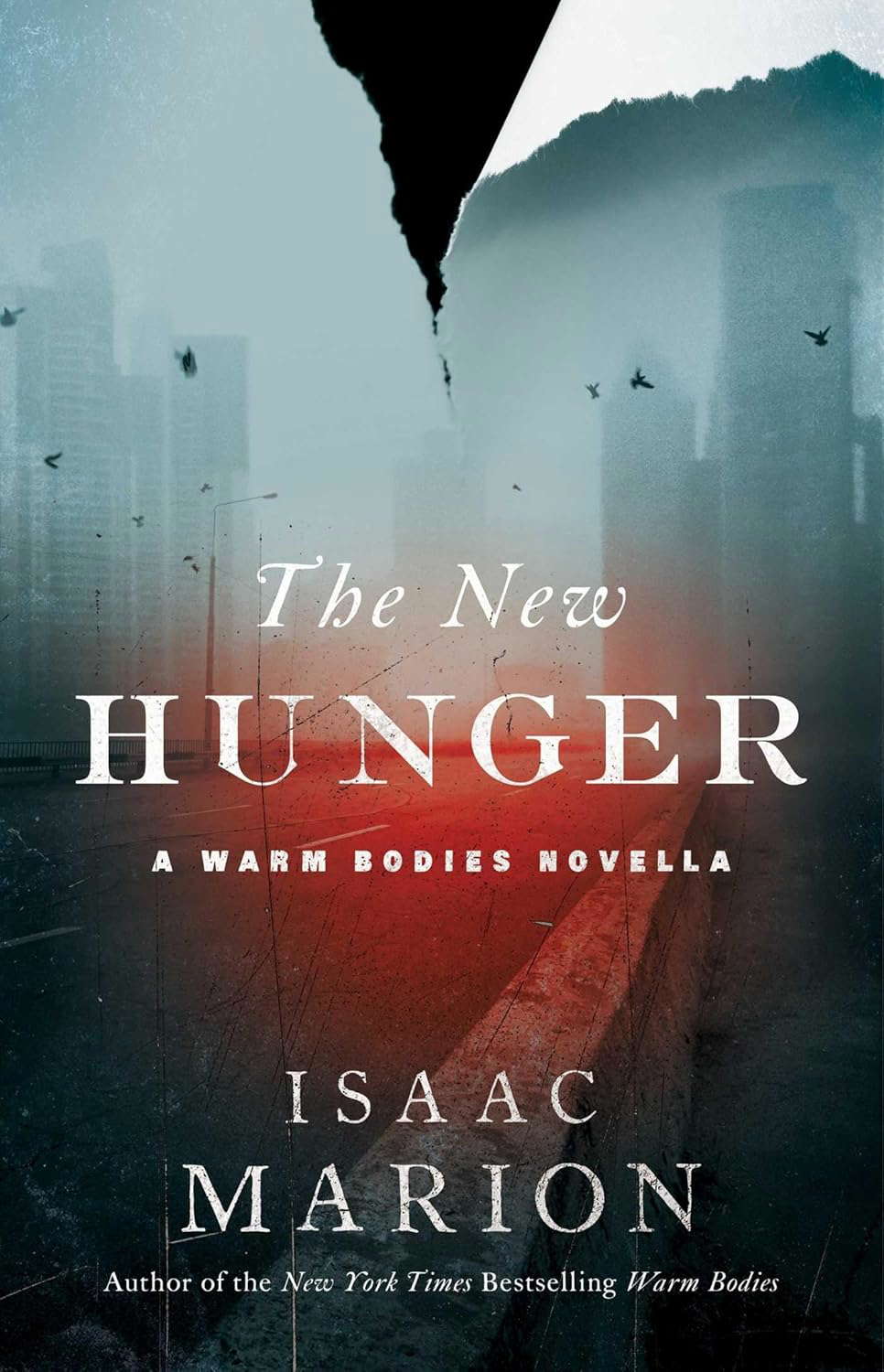 The New Hunger: A Warm Bodies Novella (The Warm Bodies Series) poster