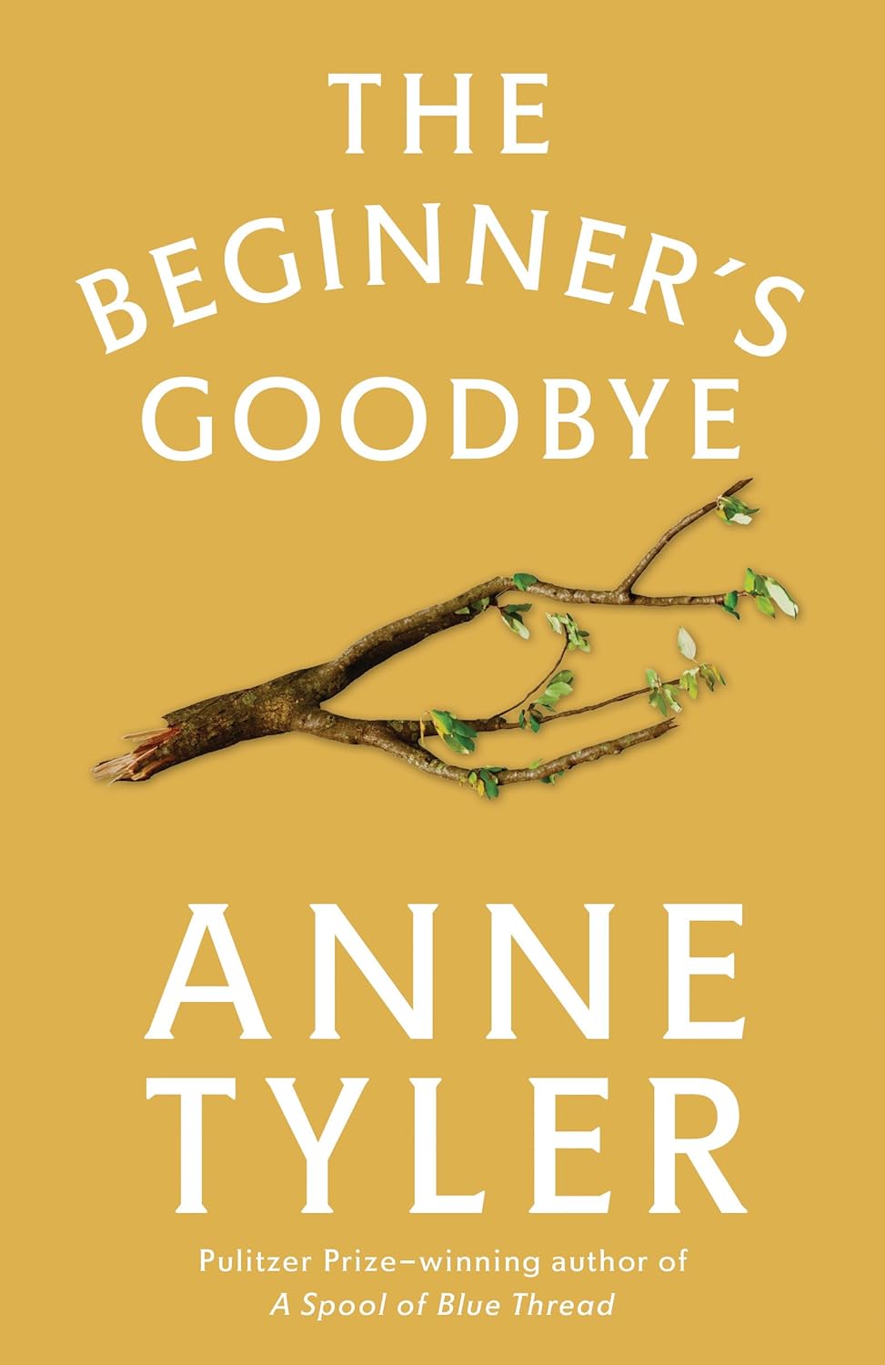 The Beginner's Goodbye poster