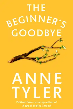 The Beginner's Goodbye poster