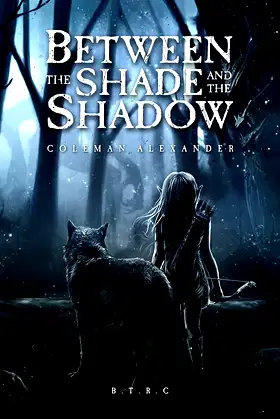 Between the Shade and the Shadow poster