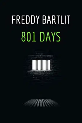 801 Days poster