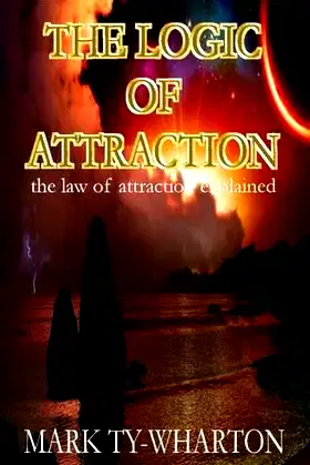 The Logic Of Attraction poster