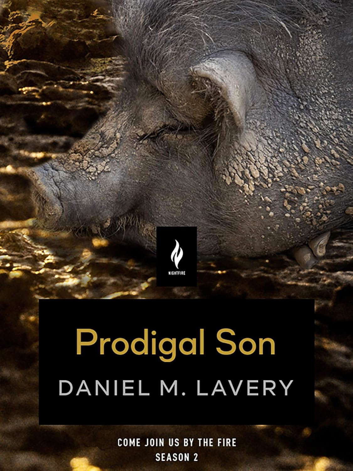 Prodigal Son: A Short Horror Story (Come Join Us By The Fire, Volume 2) poster