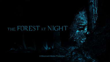 The Forest at Night - episode 1 poster