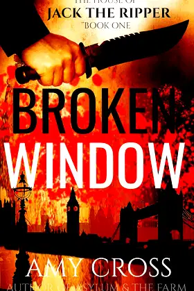 Broken Window poster