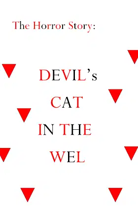 Devil's Cat in the Well poster