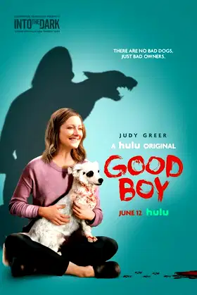 Good Boy poster