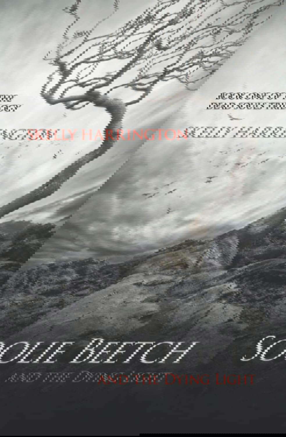 Soolie Beetch and the Dying Light poster