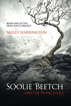 Soolie Beetch and the Dying Light poster
