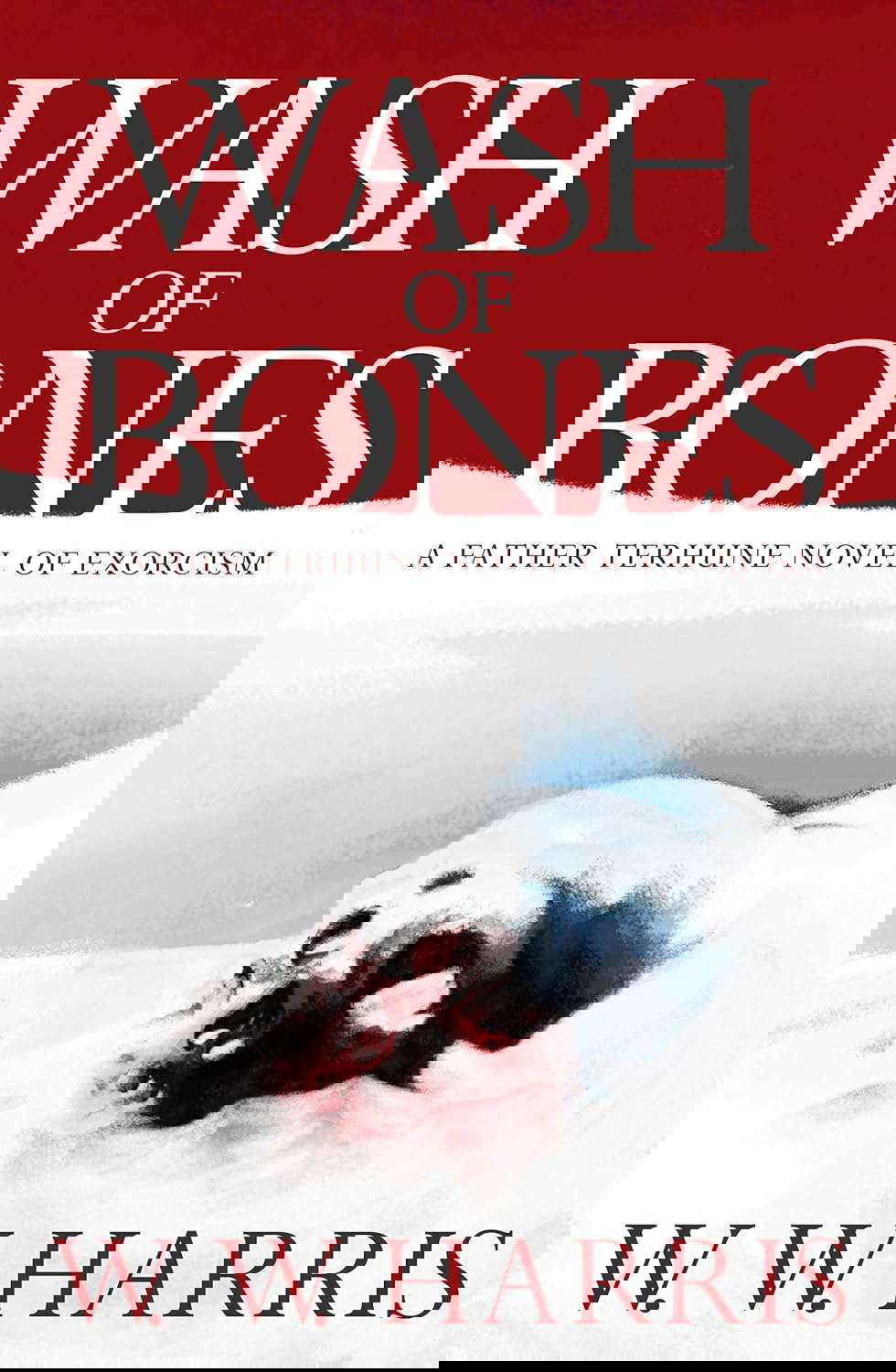 Wash of Bones: A Father Terhune Novel of Exorcism poster