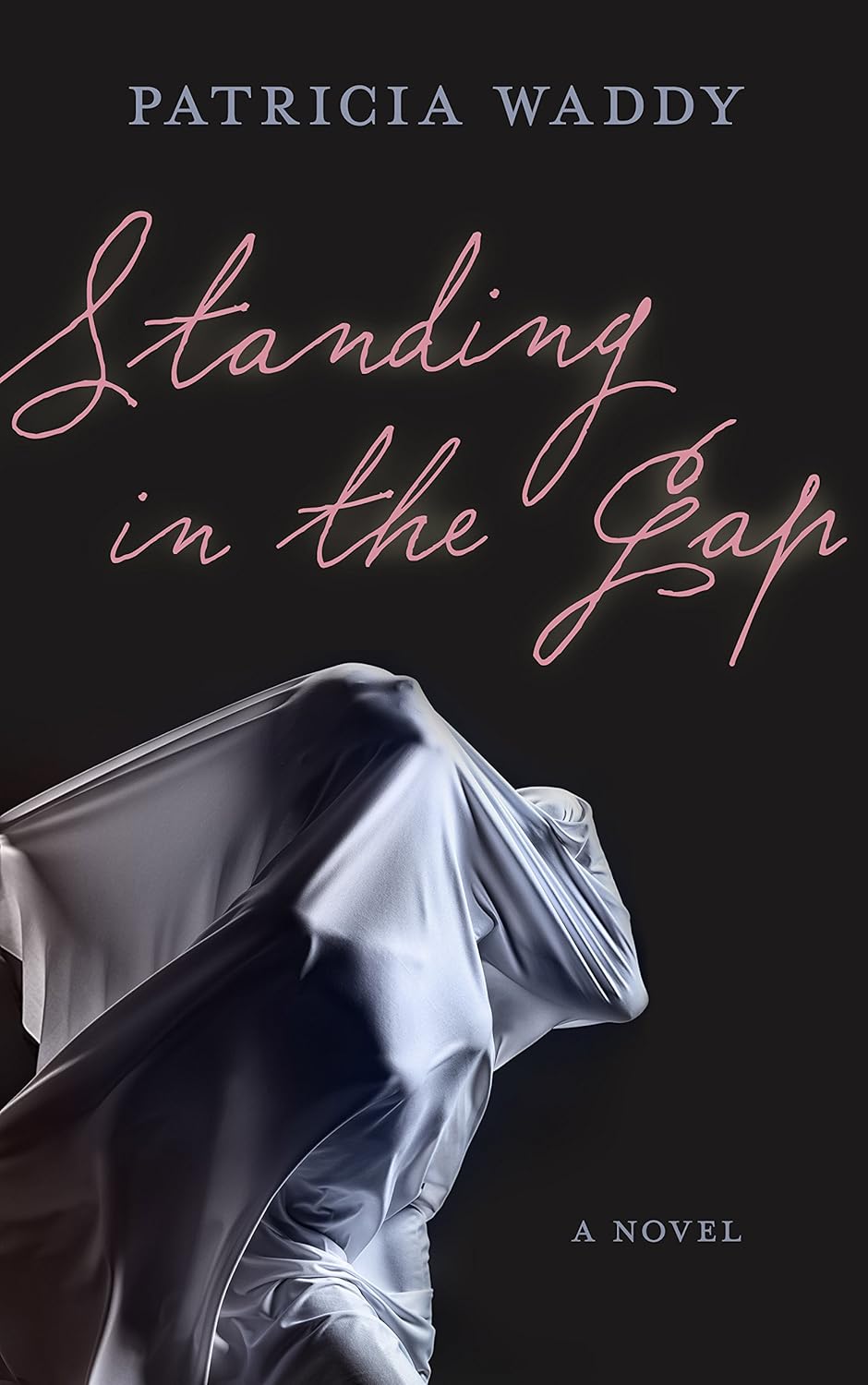 Standing In The Gap: What's Left When the Truth Destroys? poster