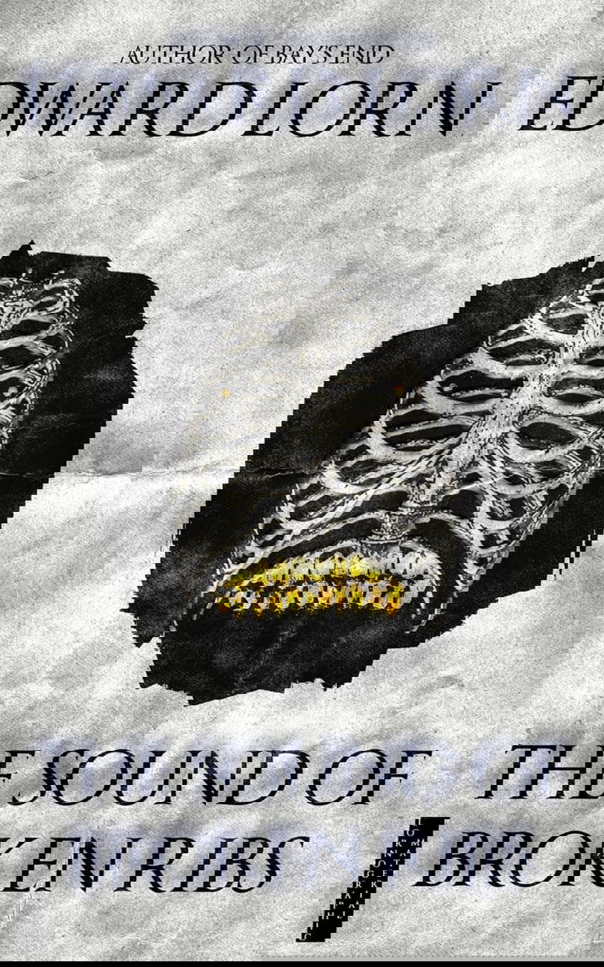 The Sound of Broken Ribs poster