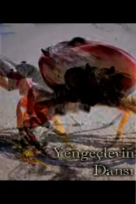 Dance of the Crabs poster