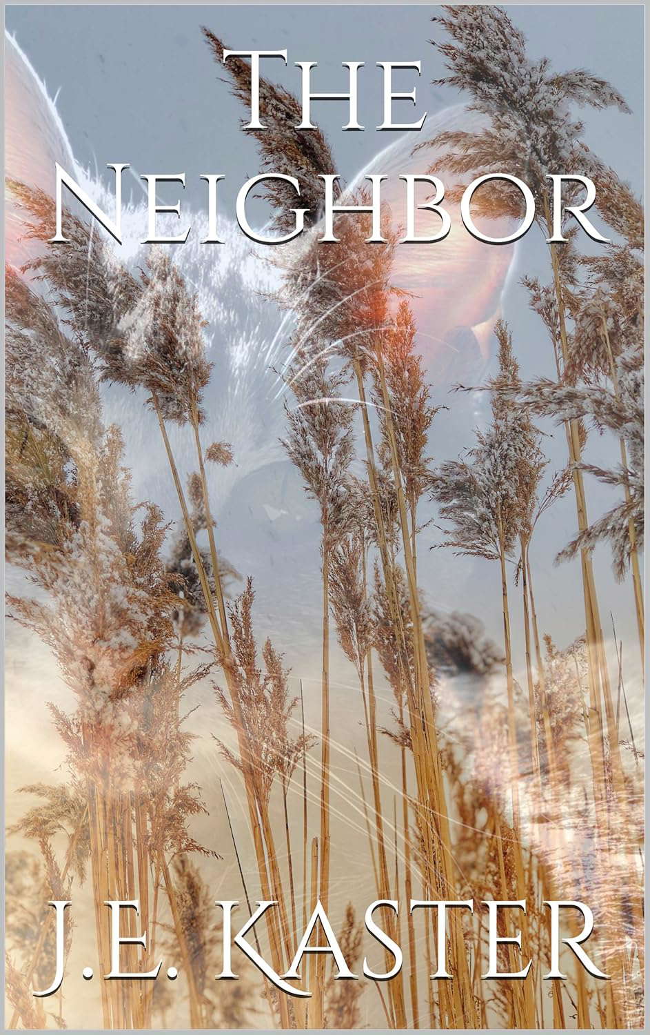 The Neighbor poster