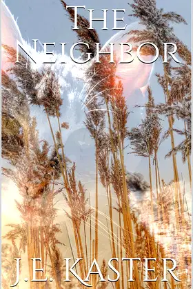 The Neighbor poster