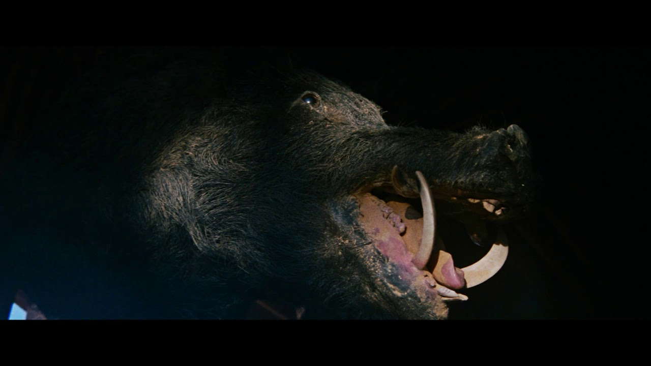 Razorback Trailer HD