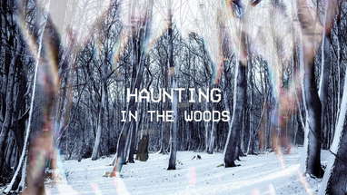 Haunting In the Woods | Found Footage Short Horror Film poster