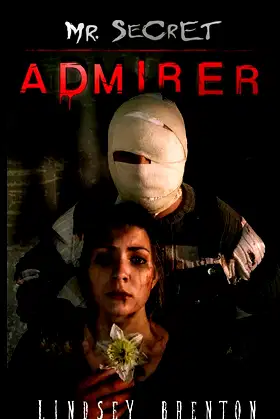 Mr. Secret Admirer poster
