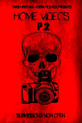 Home Videos 2 poster