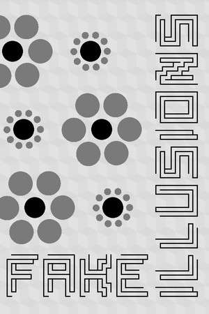 Fake Illusions poster